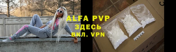 гидра Карпинск